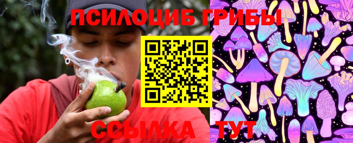 Псилоцибиновые грибы ЛСД Северск