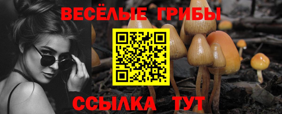 Галлюциногенные грибы мицелий  наркотики  Северск  Галлюциногенные грибы MAGIC MUSHROOMS  Вход с VPN 